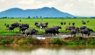 VÙNG ĐẤT AN GIANG